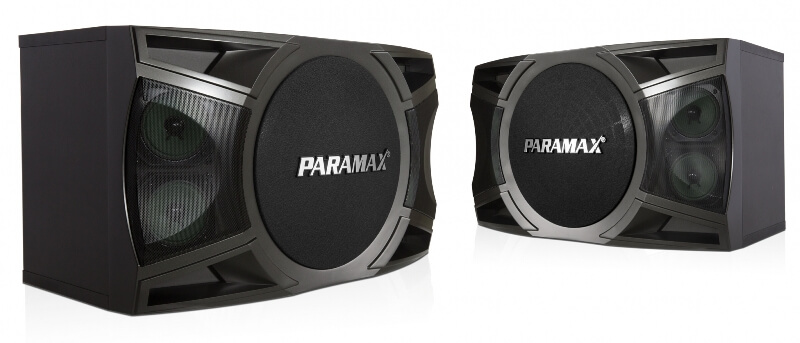 Loa Karaoke Paramax P-1000