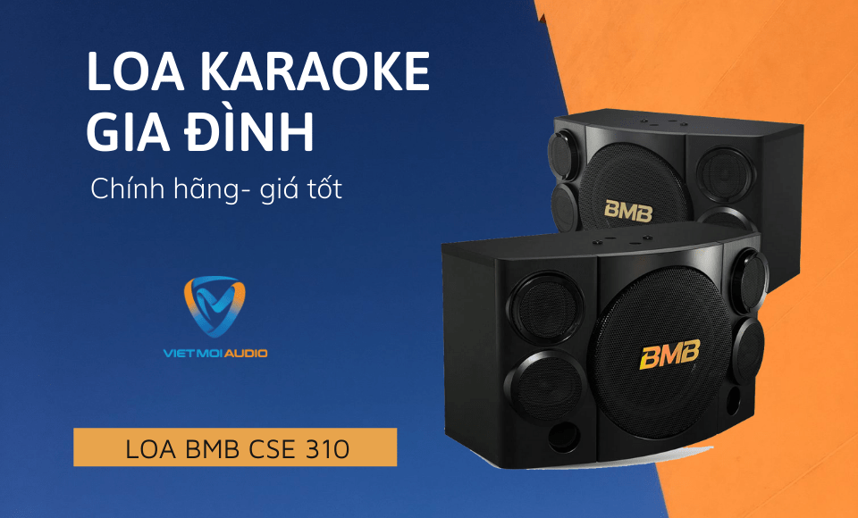 Loa karaoke gia đình BMB CSE 310