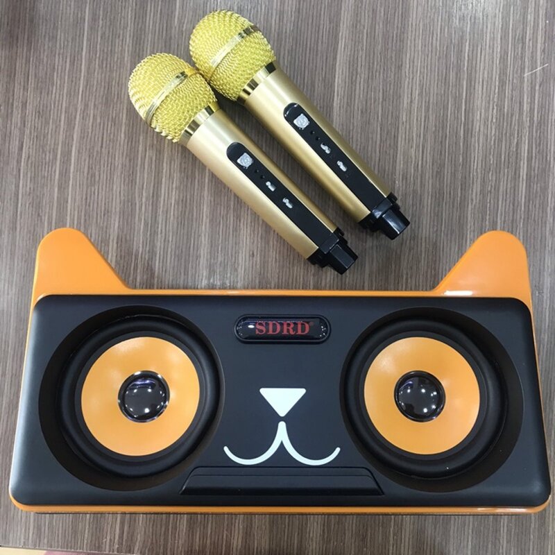 10 loa hát karaoke mini 2 mic không dây tốt nhất