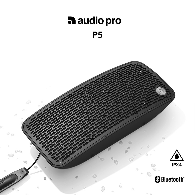 Loa AudioPro P5